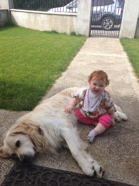 Preparing our dog for new baby