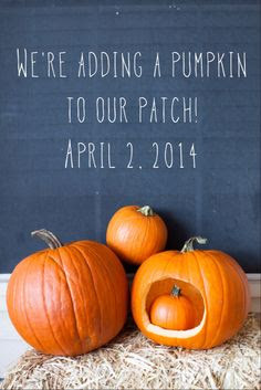 May 2015: Thread 2 - Let the sickness begin!