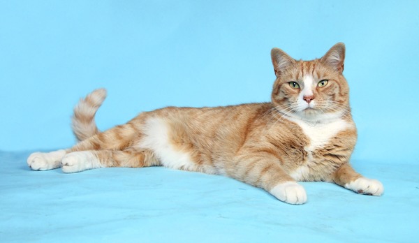 Just Shagging - Thread 11 for Graduated Viroids!