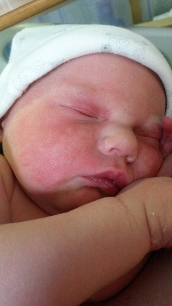 September 2014 - Babies are starting to make an appearance!