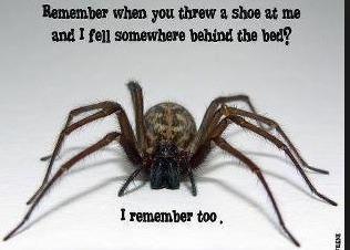 IF / ADF / 4:3 / 5:2 / 6:1 / 16:8 ~ Maintaining at a healthy weight ~ Chapter 5