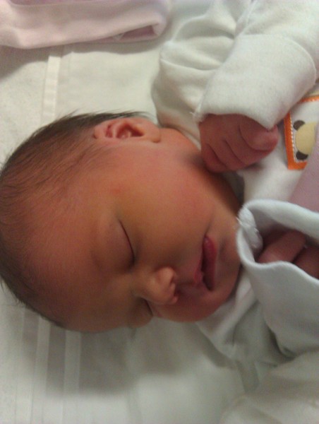 September 2014 - Babies are starting to make an appearance!