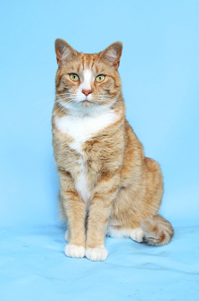 Just Shagging - Thread 11 for Graduated Viroids!