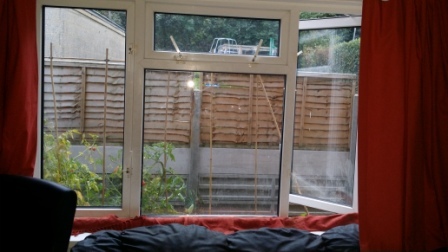 So...the dog can open windows