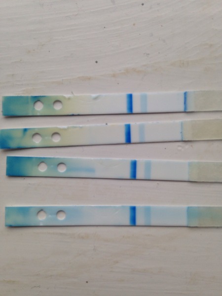 Could I be pregnant 7 week after my miscarriage?