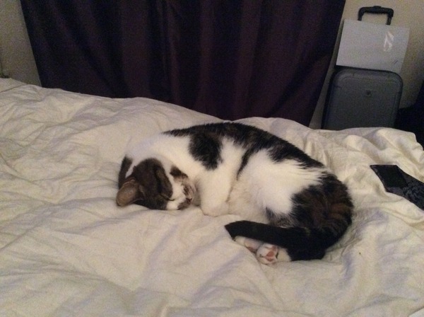 Just Shagging - Thread 11 for Graduated Viroids!