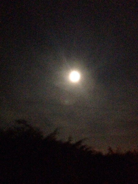 To think the supermoon is keeping me up?