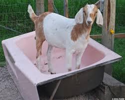 Watching Hot Tub Britain on ITV....totally common and housing scheme or what?
