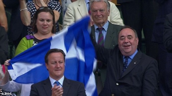 IndyRef 7