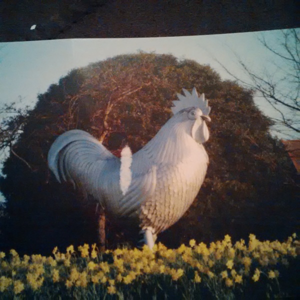 I am bored. Help me prank my friend.