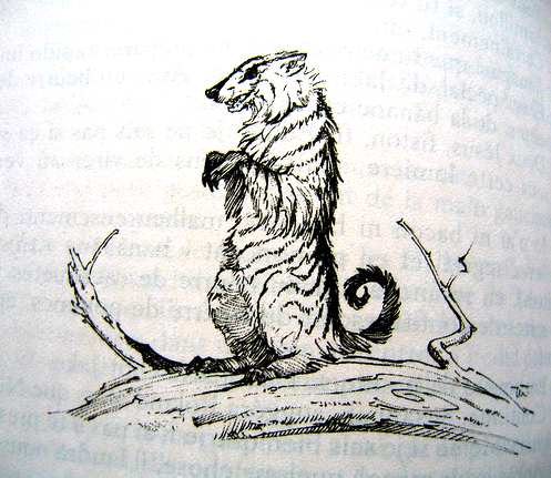 to utterly love Stephen King?