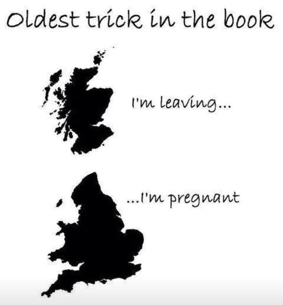IndyRef 7