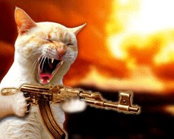 Should owners clean up after cats?