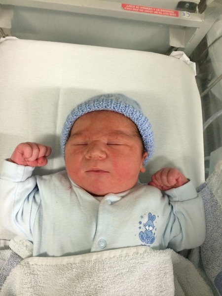 sept 2014: babies are here (or coming soon!)