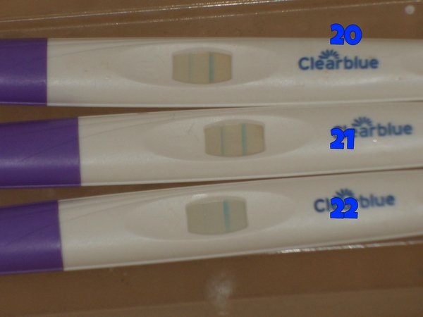 opk pics what do you think