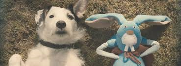 The Brave Babes Battle Bus - Getting Ready For The Golden Sights Of Autumn In Search Of Sobriety.