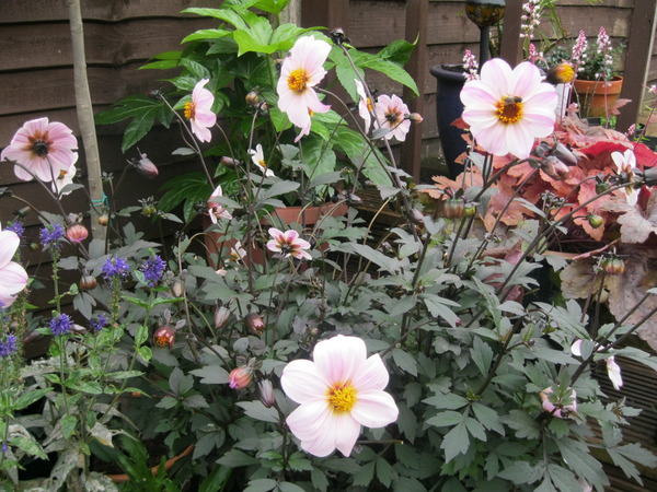 This is so bizarre...