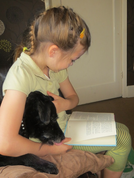 Share tips on encouraging children to read and WIN a full set of Wimpy Kid books!