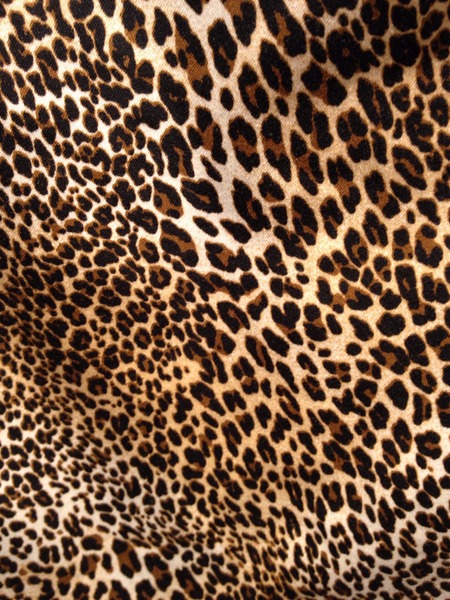 I like this leopard pencil ol' V beckham is wearing -