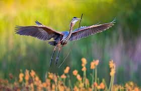 The Brave Babes Battle Bus - Getting Ready For The Golden Sights Of Autumn In Search Of Sobriety.