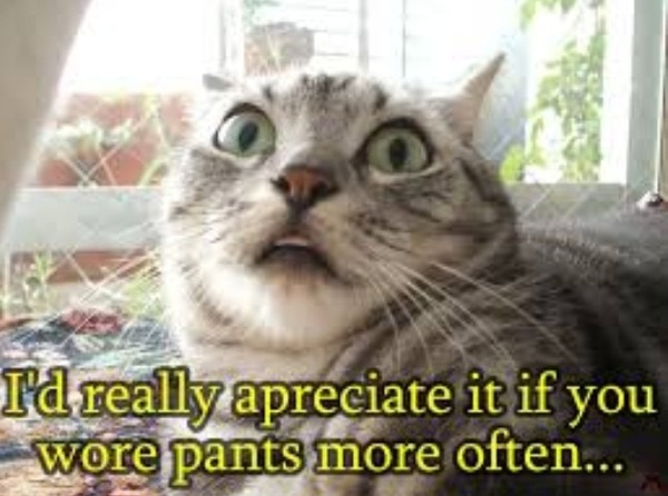 AIBU to ask DH to wear underpants?