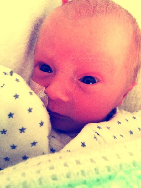 October 2014 - Thread 14 They`ve started arriving!