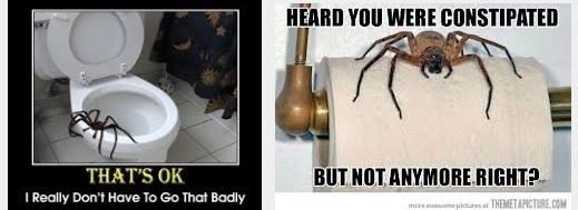 IF / ADF / 4:3 / 5:2 / 6:1 / 16:8 ~ Maintaining at a healthy weight ~ Chapter 5