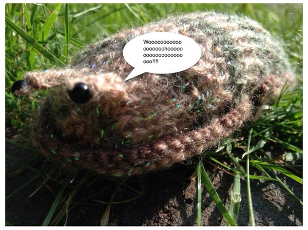 Woolly Hugs. A Woodland Themed Craft Sale and Auction for Mia's Wood.