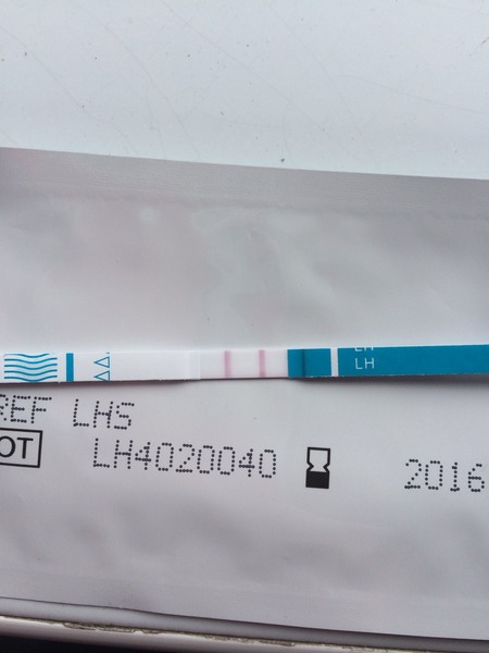 Positive opk?!?