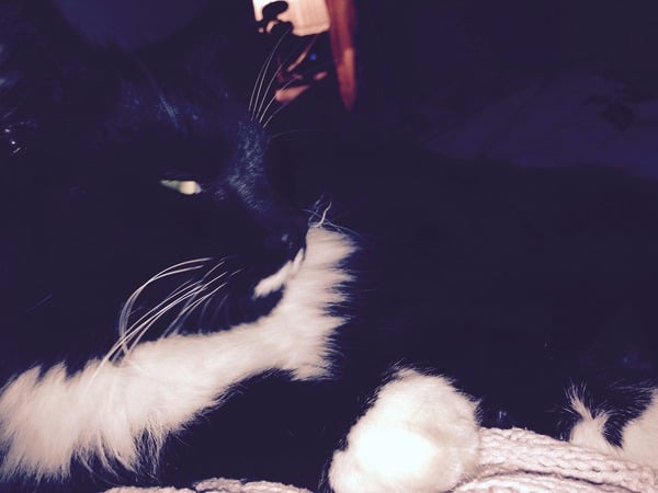 My gorgeous girl is a year old