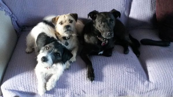 October 2014- thread 13. Getting the eviction notices ready!