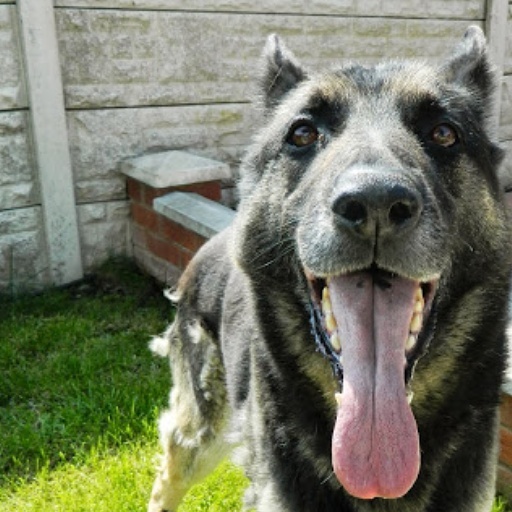 D'ya ever wonder... [enter witty phase here]