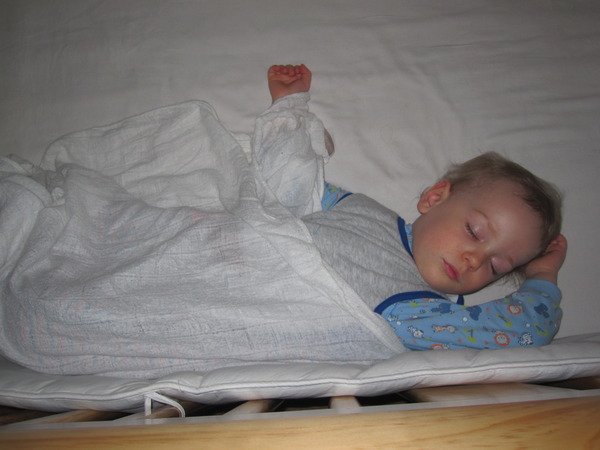 Dana Obleman and Sleep Sense - anyone heard of her?