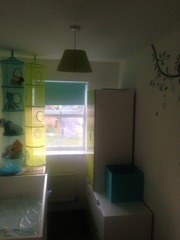 The 'Umm newbie'/ 'Thread maxed out' lovely ladies!