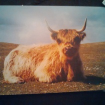 I am bored. Help me prank my friend.