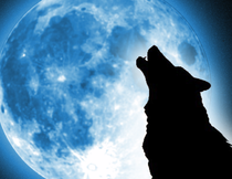 Where has the moon info gone????