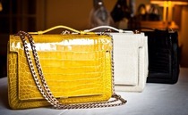 Prada; BV; Anya; Celine; Chloe; LV; Mulberry; Coach Bag LOVERS Thread. Vol 1