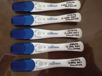 faint positive or negitive? HELP!! ( pic attached)