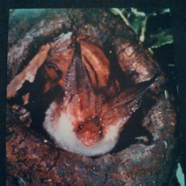 I am bored. Help me prank my friend.