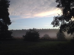 Runners thread number 7