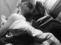 Anyone adopted an adult staffie from a rescue?