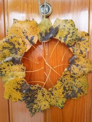 To think Autumn is wonderful?