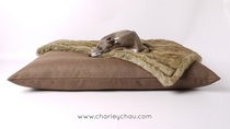 Dog bed for two Springers