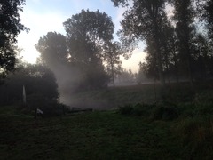 Runners thread number 7