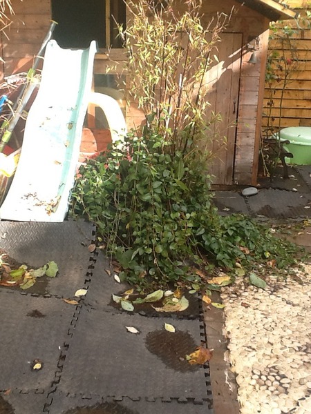 Ideas for a play area surface in our brand new garden