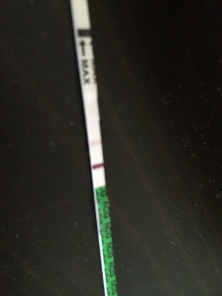 The Truth about Um Bongo, Broken Penises and Sad Fleas - it's all here, just don't talk about the Elephant in the Womb! Pee on Nigel Farage (or in a Thermos), and Join the Bonkers Bonkers for JS 30!