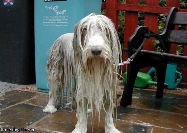 The Seasalt Janelle coat