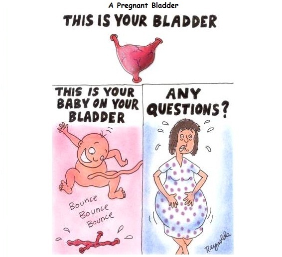 Just Shagging Grads 14: Join the viroids for scanxiety, Toni Braxtons, & a little less JSing than usual!