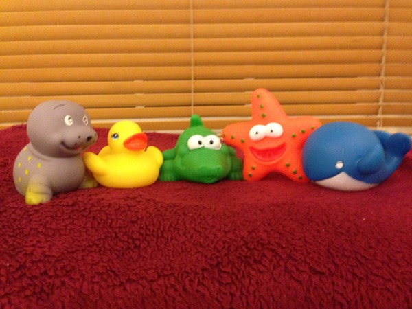 The shiny new Pregnant after MC due December 2014 thread #2