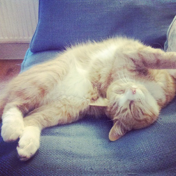 Break the bed, marvel at the ghost sperm, ignore the fuss about avatar pandas and whatever you do - don't eat the jizz! It's Just Shagging Part 28